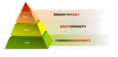 三亞中瑞酒店管理學院 把握全球十大熱門行業脈搏，開啟酒店管理職業新篇章