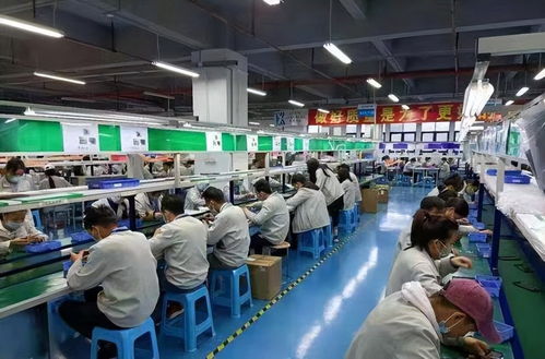 從清華學(xué)子到卷煙廠(chǎng)操作工 專(zhuān)業(yè)與職業(yè)選擇的多元探索